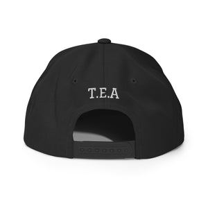 Energy365 Snapback Hat