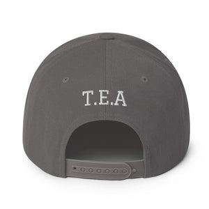 Energy365 Snapback