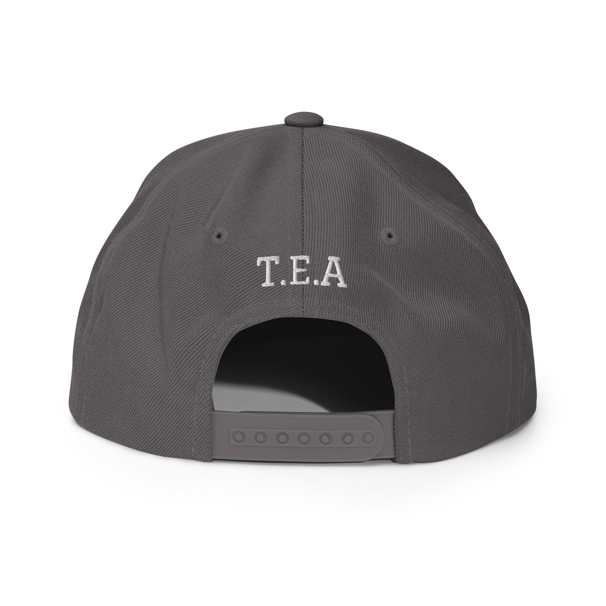 Energy365 Snapback Hat