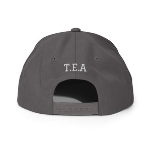 Energy365 Snapback Hat