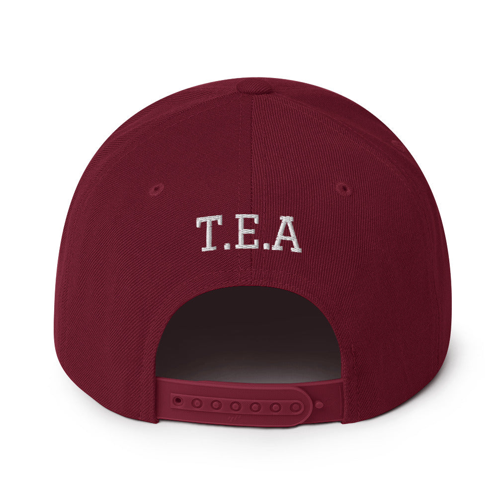 Energy365 Snapback