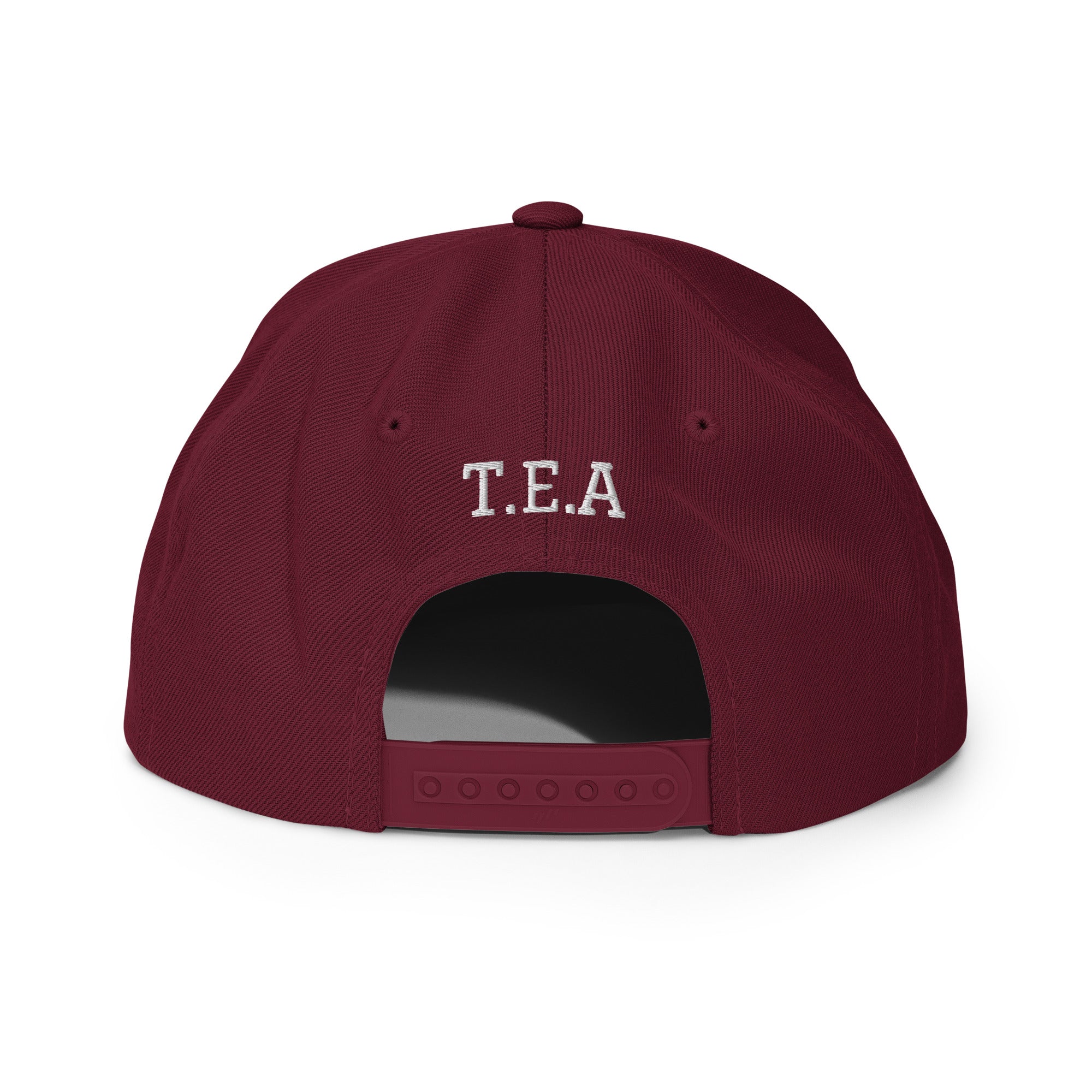 Energy365 Snapback Hat