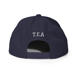 Energy365 Snapback Hat