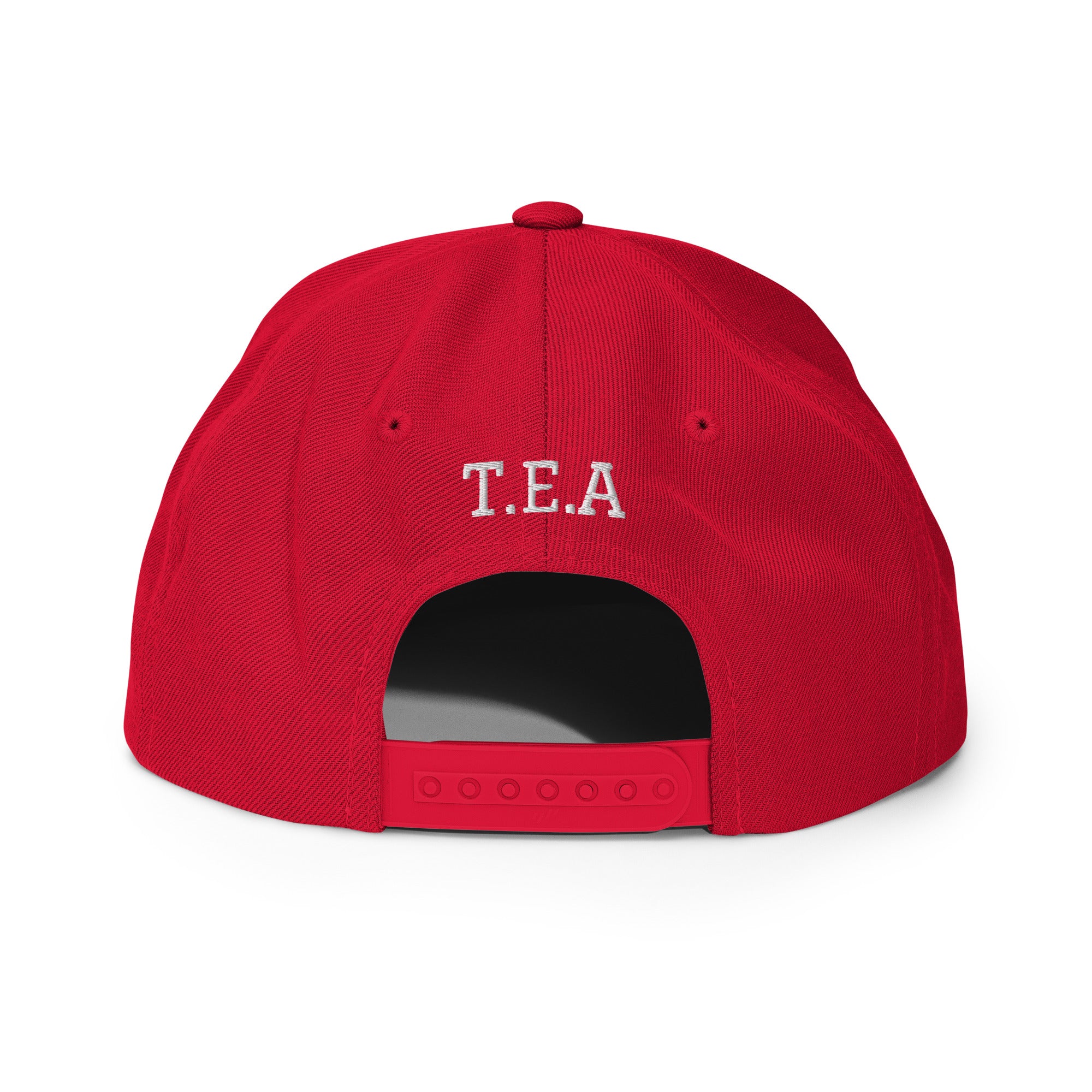 Energy365 Snapback Hat