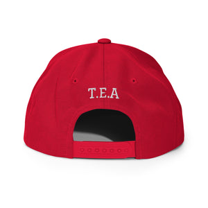 Energy365 Snapback Hat