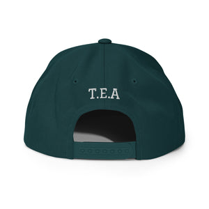 Energy365 Snapback Hat